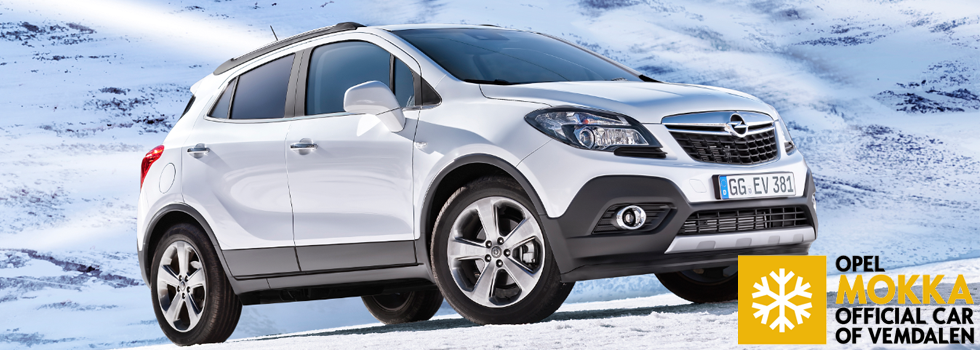 Opel_Lingman_Banner